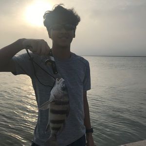 Meet your Posher, Joshyyoon